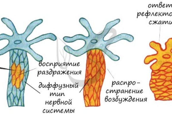 Кракен 16