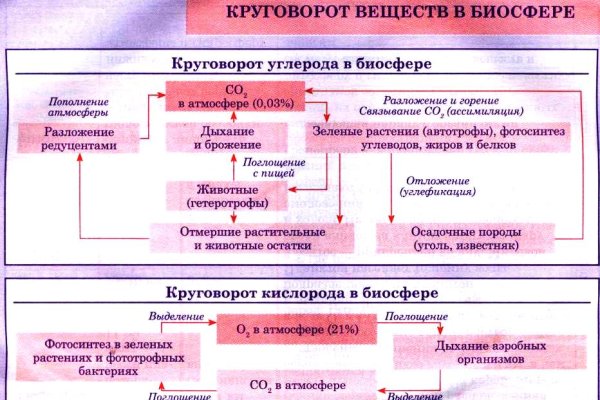 Модератор на кракене