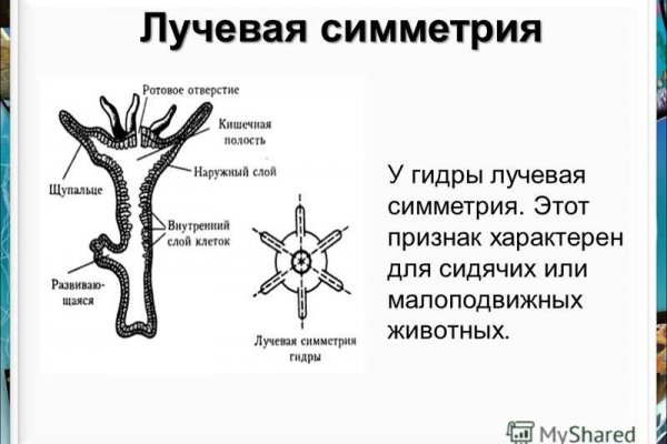 Кракен официальный сайт онион