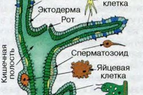 Кракен торговая площадка